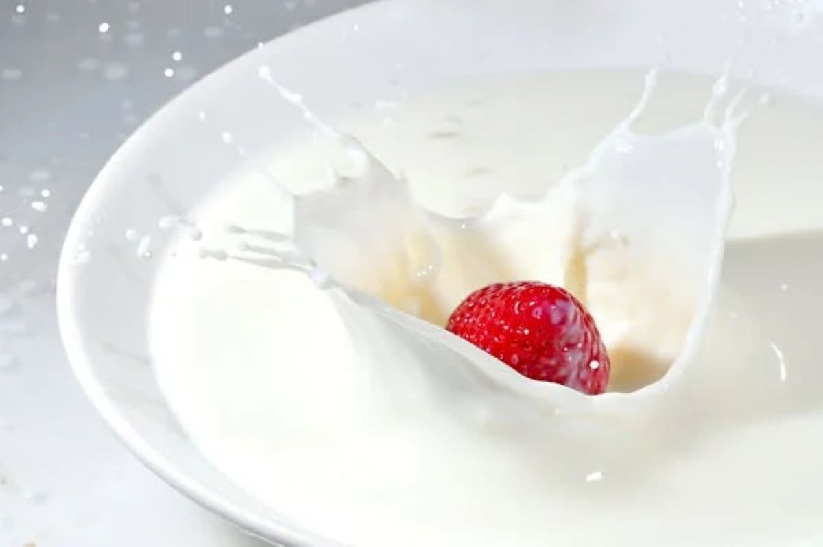 Milk Logo